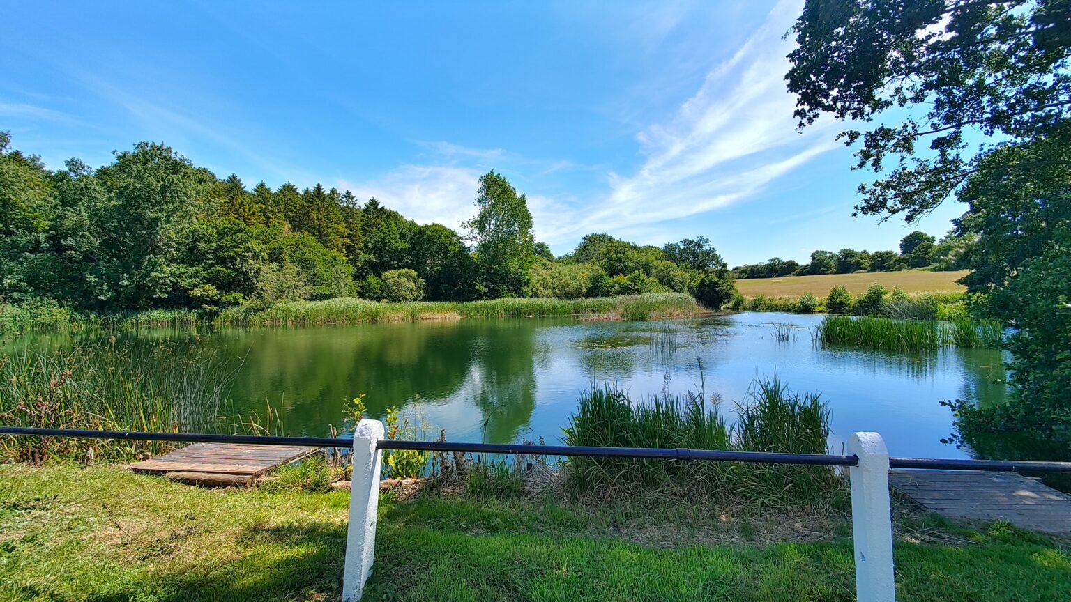 Grand Union Canal – Northampton Stretch, from the fishery's own website
