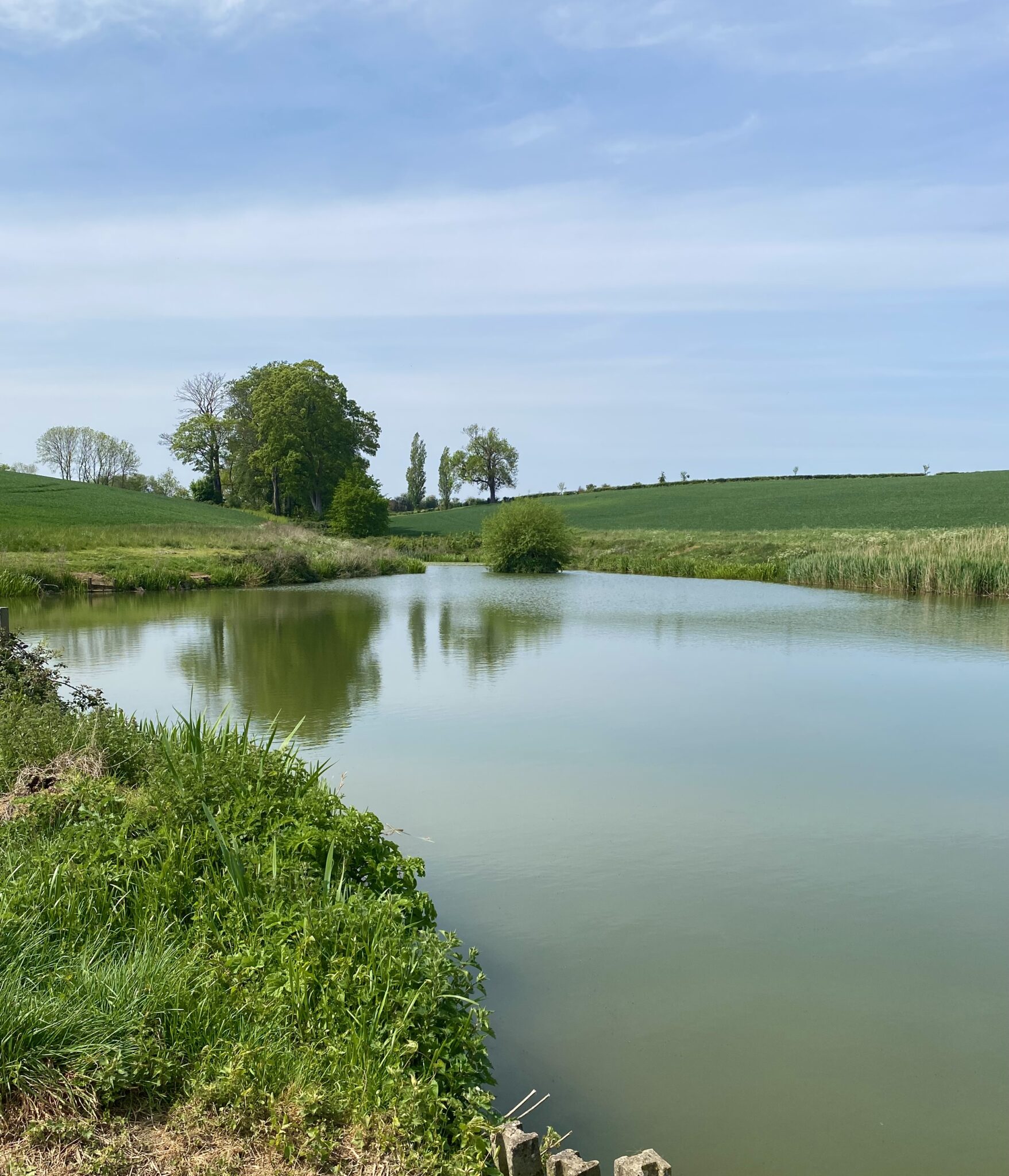Grand Union Canal – Northampton Stretch, from the fishery's own website